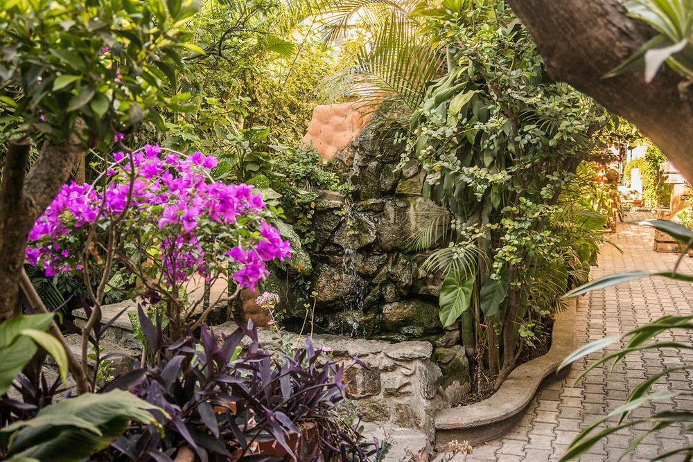 Hotel Casa Arnel Oaxaca Экстерьер фото