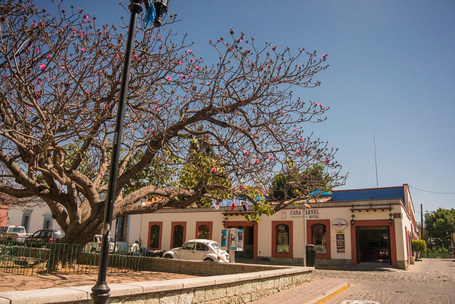 Hotel Casa Arnel Oaxaca Экстерьер фото